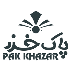 لوگو سیستم